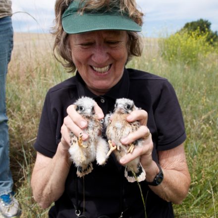 Citizen Science