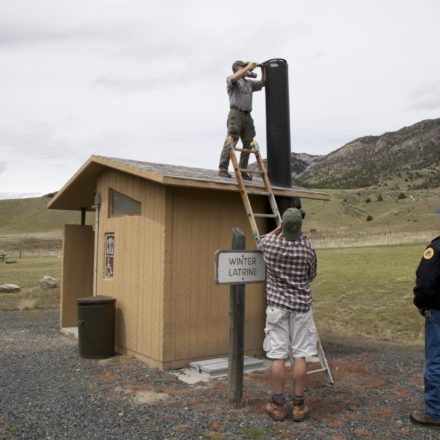 Bird-friendly Communities