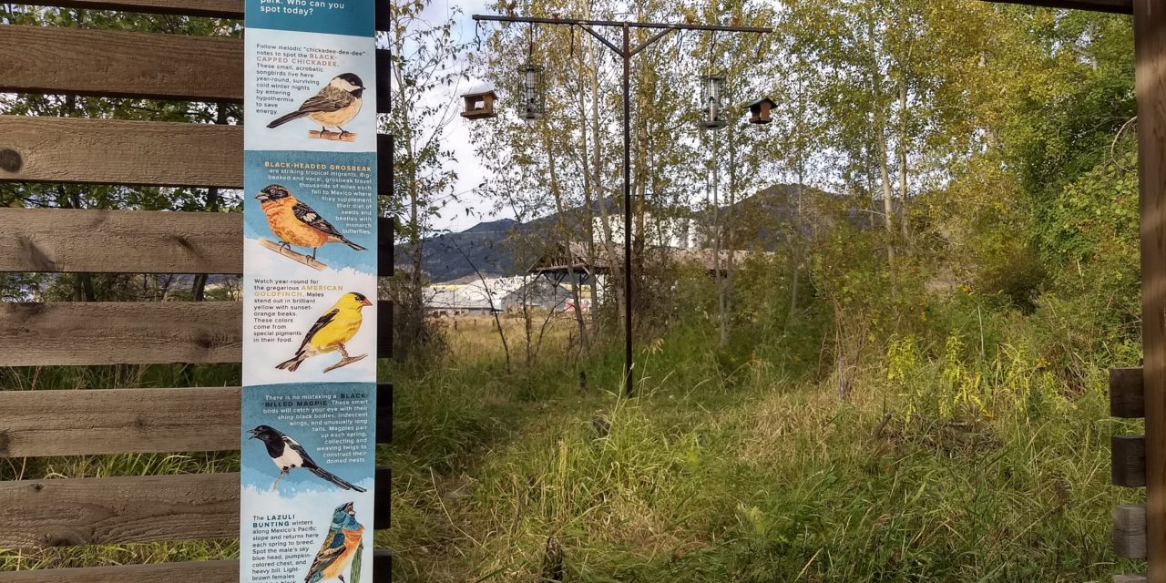 Story Mill Community Park Bird-Feeding Station