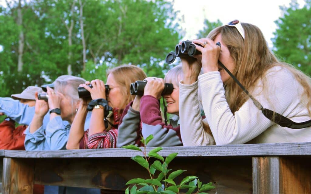 Story Mill Park bird walk