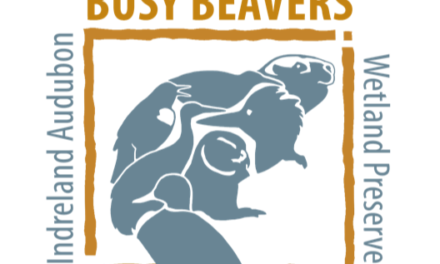 Stewardship at the IAWP: Busy Beavers At Work