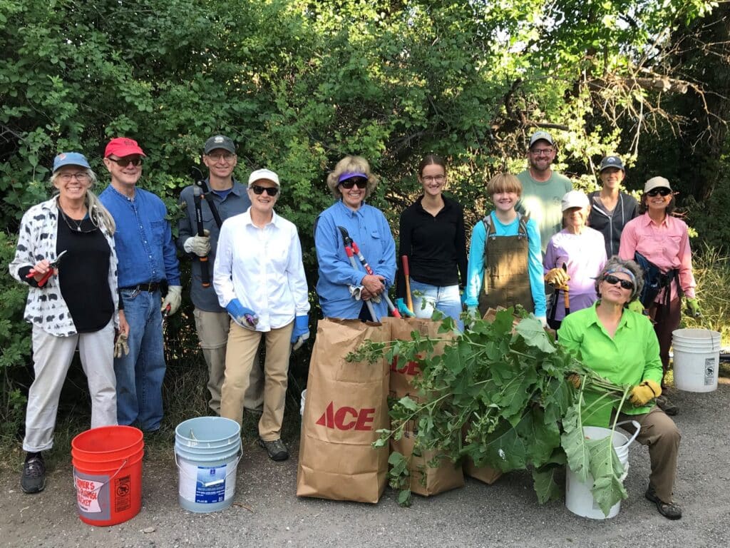 Burdock cutting team, Gallagator Trail 6-11-21 (2)