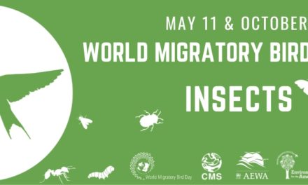 World Migratory Bird Day – Saturday, May 11th