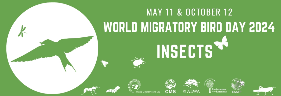 World Migratory Bird Day – Saturday, May 11th