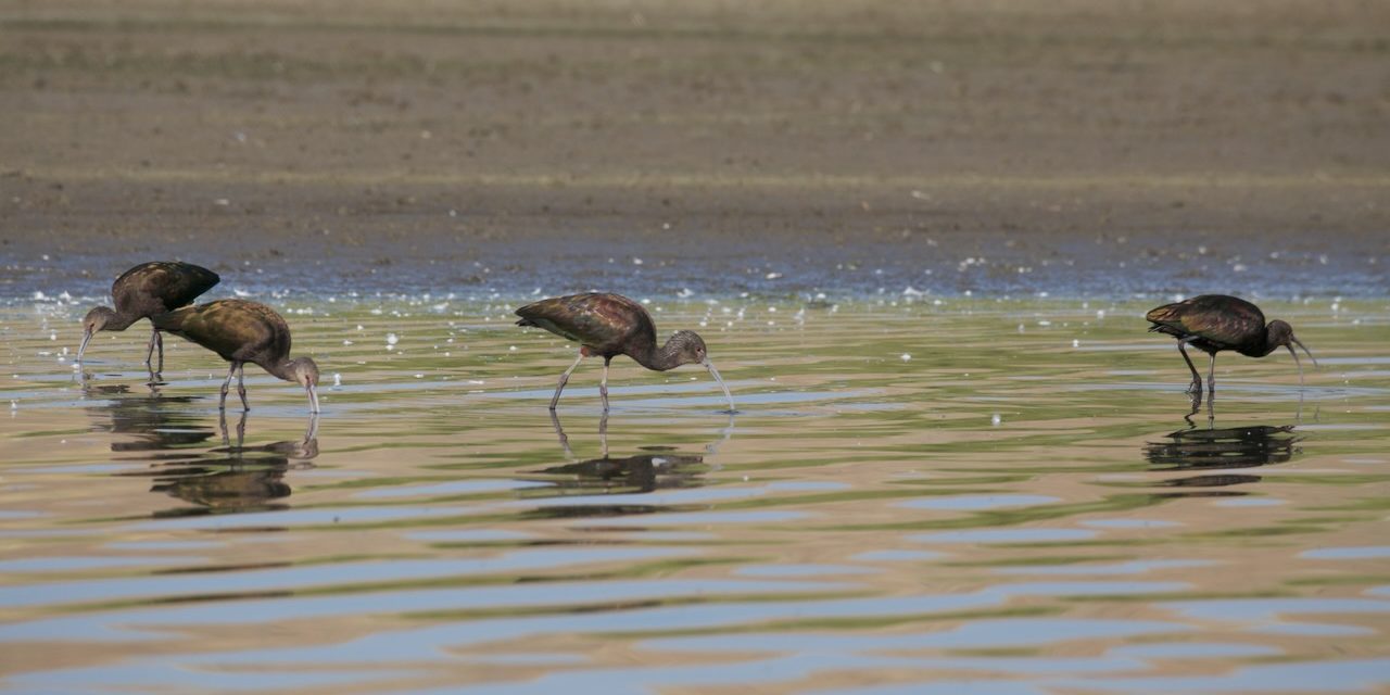 Harrison Reservoir Field Trip – Sept. 14th