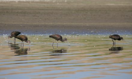 Harrison Reservoir Field Trip – Sept. 14th