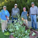 Knock Out Burdock Campaign Expands