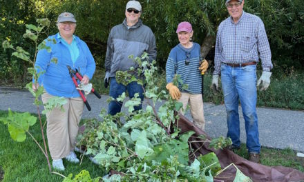 Knock Out Burdock Campaign Expands