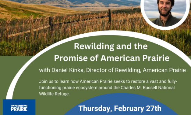 Zoom Webinar – Rewilding & the Promise of American Prairie