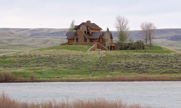 Sweet Grass Prairie Birding Tour – May 16-19