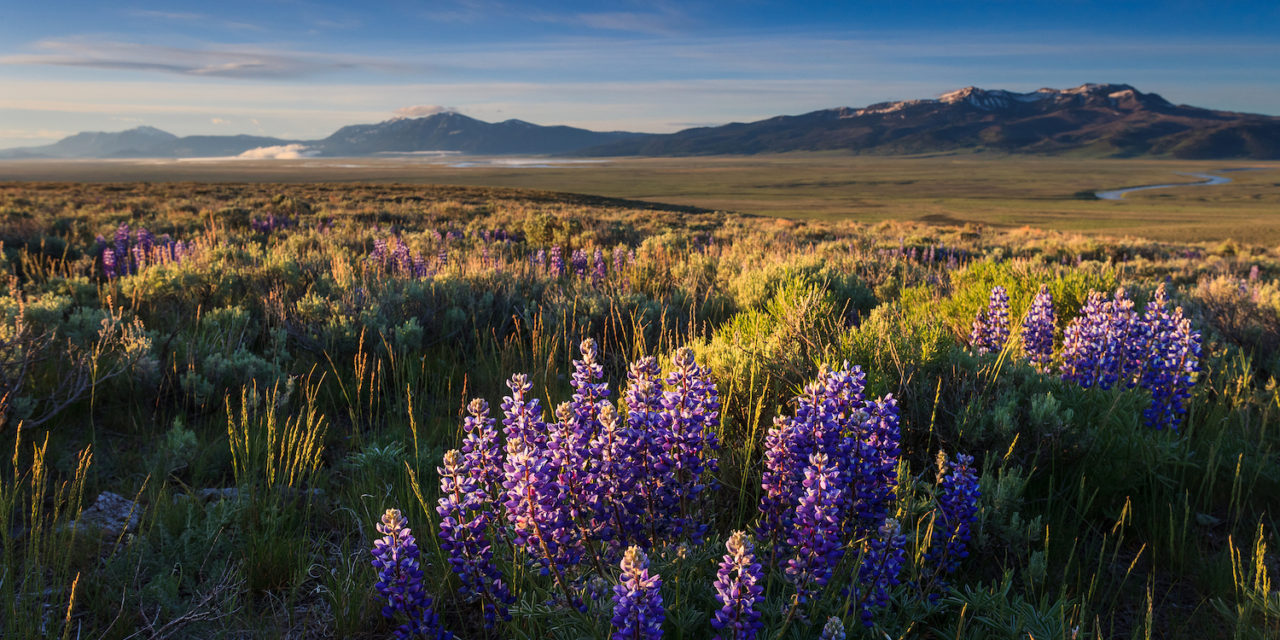 Red Rocks NWR Tour – May 24-26