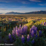 Red Rocks NWR Tour – May 24-26