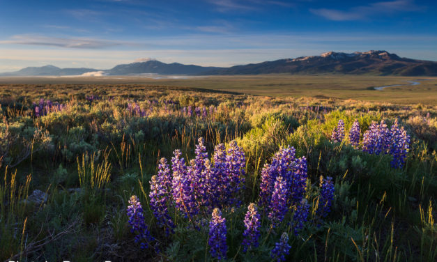 Red Rocks NWR Tour – May 24-26