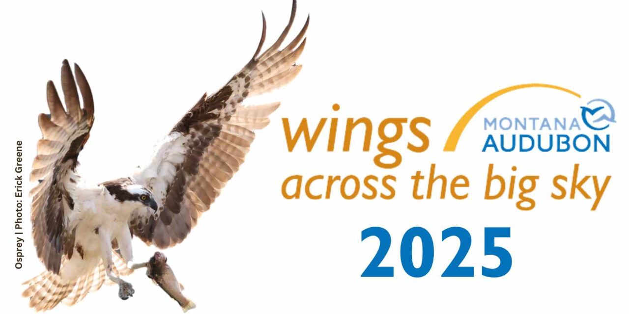 Registration Now Open for the Wings Across the Big Sky Festival!