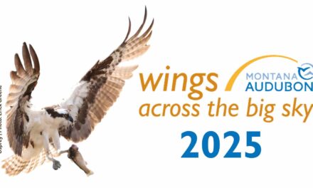 Registration Now Open for the Wings Across the Big Sky Festival!