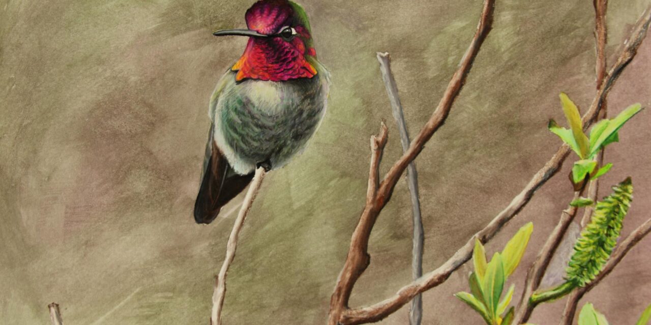 Andrew Guttenberg, A Homegrown Montana Artist
