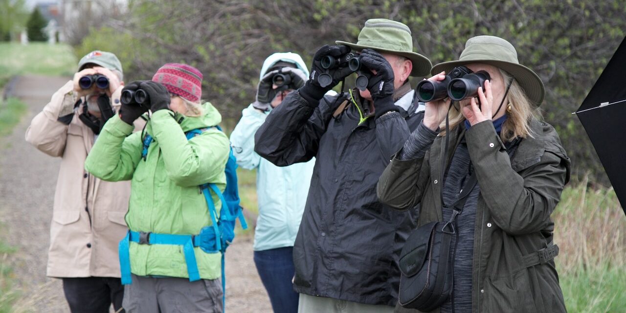 Guided Bird Walks at the IAWP