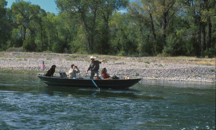 Birding River Safaris with Ken Sinay!