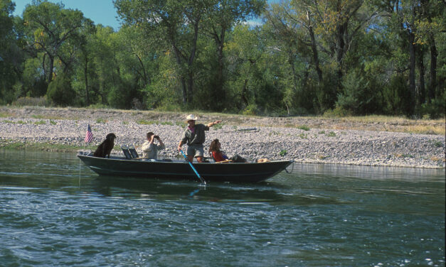 Birding River Safaris with Ken Sinay