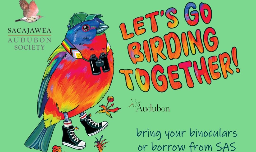 Let’s Go Birding Together! Bozeman Pride Bird Walk