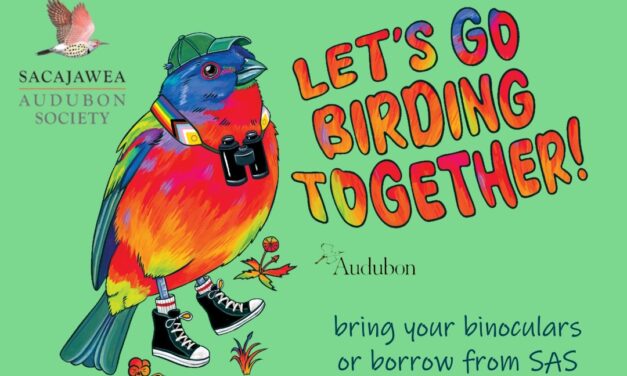 Let’s Go Birding Together! Bozeman Pride Bird Walk