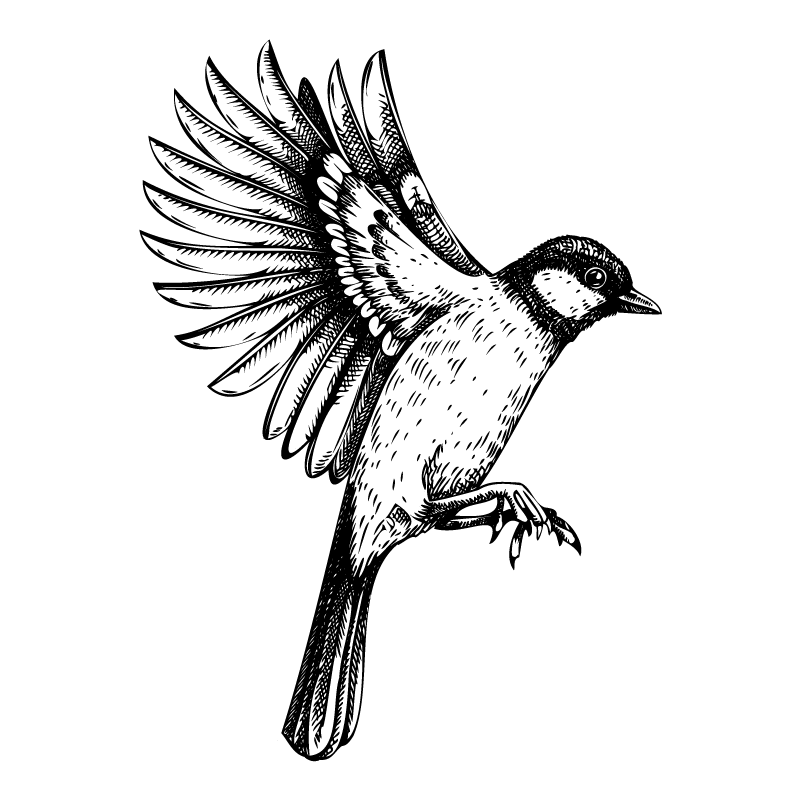 icon-bird1-black