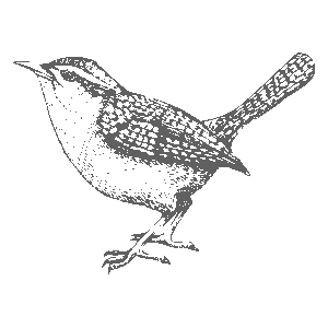 icon-bird3